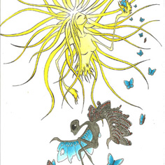 Ink and watercolour: Polyommatus Icarus